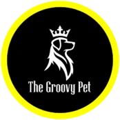 The Groovy Pet | Unique Art Creations Made Just For You